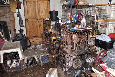 How to tell hoarding disorder from messiness. Animal Hoarders: The Illness and The Crime | Palm Coast ...