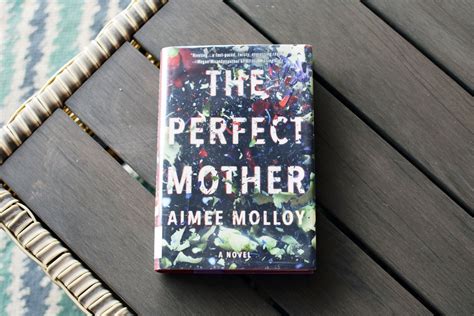 Review The Perfect Mother By Aimee Molloy Book Club Chat