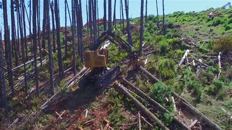 Tigercat L C Feller Buncher With In Australia YouTube