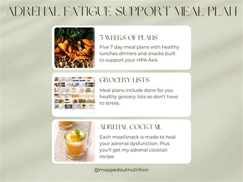 Adrenal Fatigue Support Meal Plan Etsy