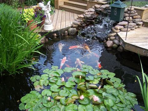 See more ideas about pond design, koi pond design, koi pond. backyard koi pond | Thread: Raised Formal Backyard Koi ...