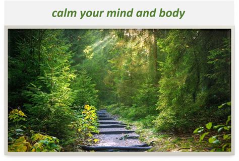 Calm Your Mind And Body Behavioral Health Resources Llc Behavioral