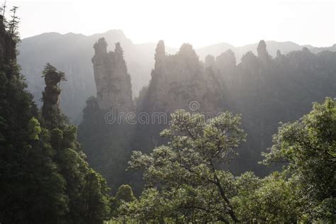 Sunset In Zhangjiajie National Forest Park Stock Photo Image Of
