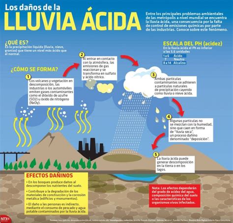 La lluvia ácida tiene muchas consecuencias nocivas para el entorno, pero sin lugar a dudas, el la lluvia ácida eleva el nivel acídico en los acuíferos, lo que posibilita la absorción de aluminio que se. ¿Qué es la lluvia ácida? ¿Por qué se produce? Posibles ...