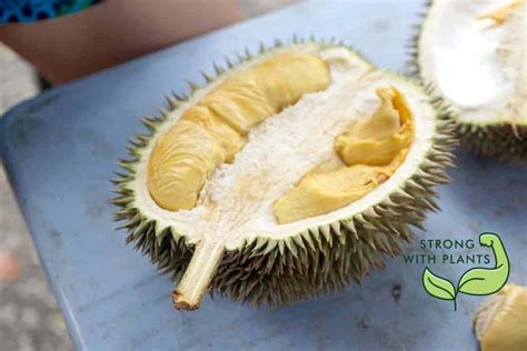 D101 Durian Strong With Plants Vegan Powered Living