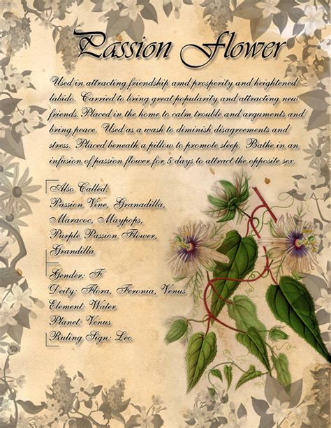 Book Of Shadows Herb Grimoire Passion Flower By Conigma On Deviantart