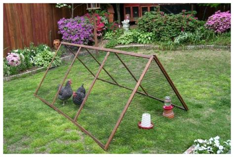 Diy Collapsible Chicken Run In 8 Easy Steps Your Projectsobn
