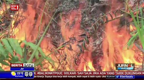 Jokowi Minta Kapolri Evaluasi Penghentian Kasus 15 Perusahaan Pembakar