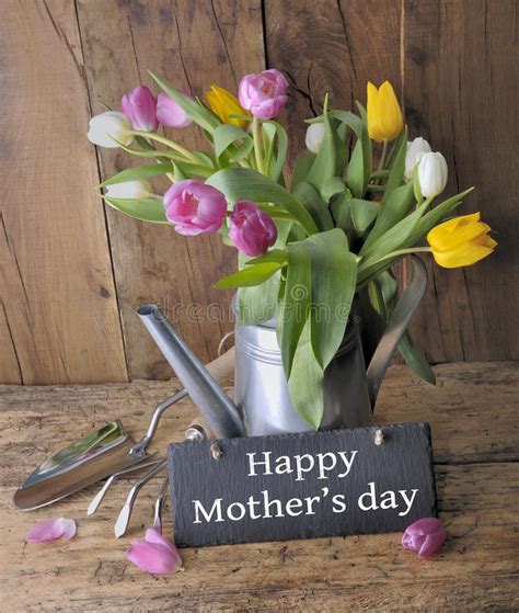 Tulips For Mother S Day Stock Photo Image Of Text Happy 111956782