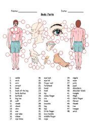 Stunning photos showing all parts of the body. Body Parts - ESL worksheet by mattvowles