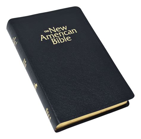 Catholic Book Publishing Nabre Deluxe T Bible Indexed