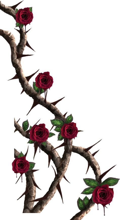Vines Roses Vine Red Rose Thorns Png Clipart Full Size Clipart