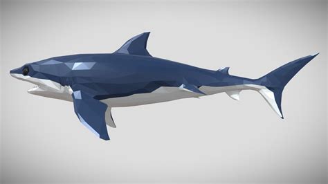 Low Poly Shark Buy Royalty Free 3d Model By Jiffycrew 89031c2