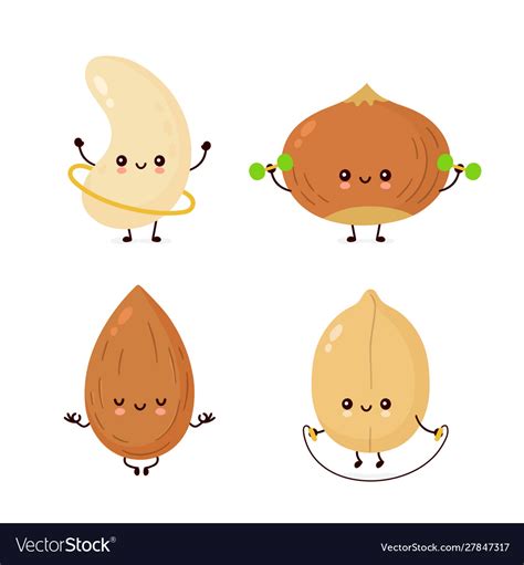 Cute Happy Nuts Make Fitnessyogagym Set Royalty Free Vector