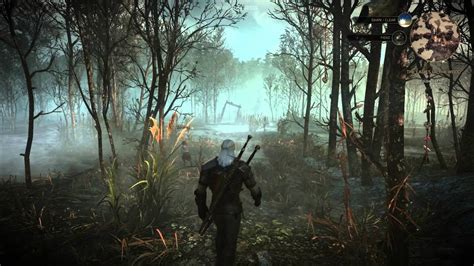 Here's a quick witcher 3 gameplay review! The Witcher 3: Wild Hunt - E3 Swamps Gameplay - Eurogamer ...