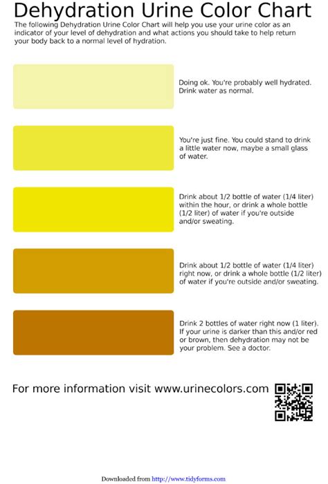 Color Of The Urine Chart