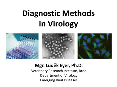 Ppt Diagnostic Methods In Virology Powerpoint Presentation Id9679346