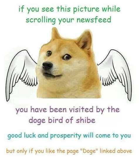Angel Doge Doge  Doge Meme Funny Photos Funny Images Such Wow