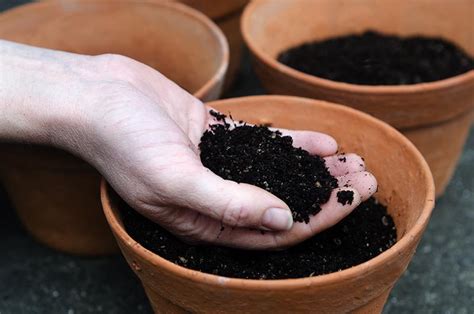 5 Best Potting Soil For Plants Reviews And Buying Guide