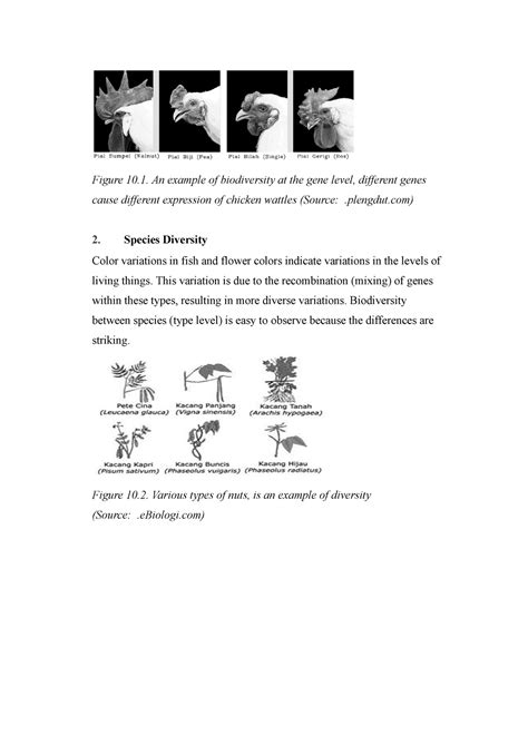 Biology Learning Figure An Example Of Biodiversity At