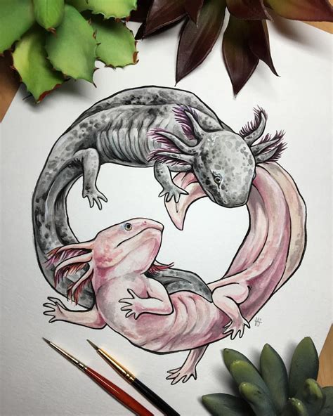 Axolotl Yin Yang Ajolote Ajolote Dibujo Dibujo De Animales Images And