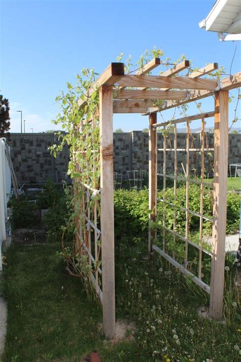 Building A Grape Arbor In Your Backyard Garden Our Stoney Acres