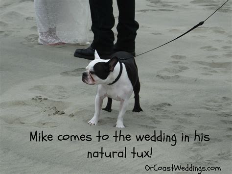 Are you planning a beach wedding on the oregon or washington coast? Oregon Coast Beach Wedding-Oregon coast officiant-Elope