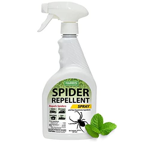 The Best Spider Spray For Indoors Todays Highlights In 2022