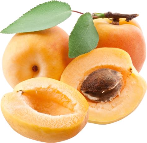 Apricots Png Transparent Image Download Size 600x583px