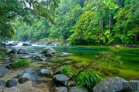 Daintree Rainforest National Parks Places To Go