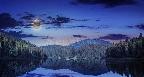 Pine Forest And Lake Near The Mountain Early At Night Stock Photo