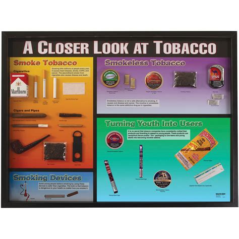 Types Of Tobacco Products 3 D Display Health Edco