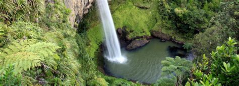 Everything You Need To Know About Plunge Pools In Australia