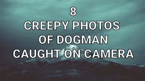 8 Creepy Photos Of Dogman Caught On Camera In 2022 Creepy Photos