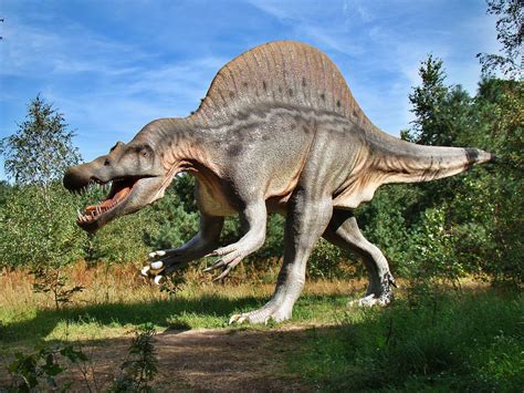 Sciadv причиной вымирания динозавров могла стать вулканическая зима