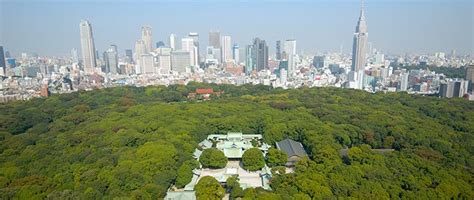 Shintōs Sacred Forests And Japanese Environmentalism