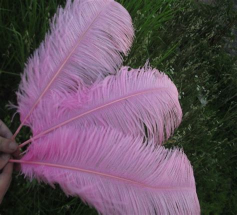Wholesale 10 Pcs Lot Beautiful Pink Ostrich Feathers 14 16 Inch 35