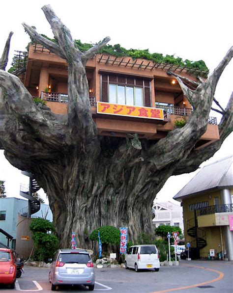 Feature Incredible Tree House In Japan Doubles As Diner Techeblog
