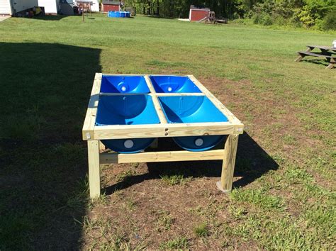 Raised Garden Made From Plastic Blue Barrels And Easy On Your Back