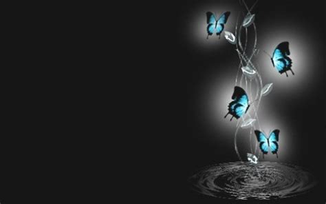 Butterfly Wallpapers Wallpaper Cave