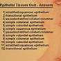 Identify The Epithelial Tissue Quiz