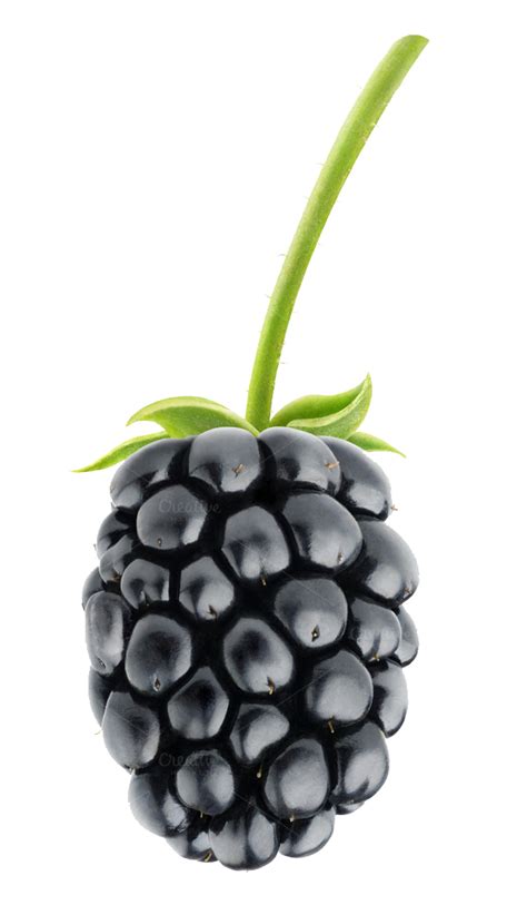 Blackberry Fruit Png Pic Png All Png All