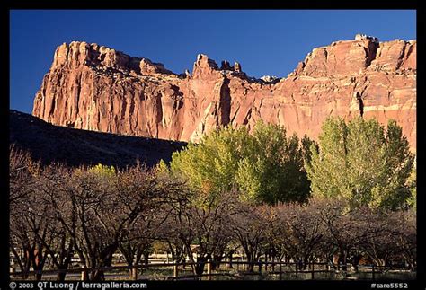 Picturephoto Historic Orchard And Cliffs Capitol Reef National Park