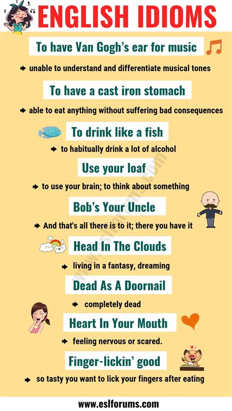 Top 20 Funny Idioms In English You Might Not Know Esl Forums