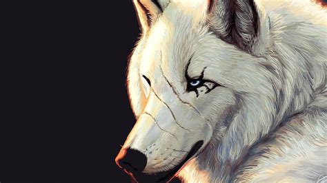 Animated Wolf Killer Wolfs Hd Wallpaper Pxfuel