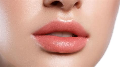 Tipos de labios de mujer Paco Perfumerías Blog