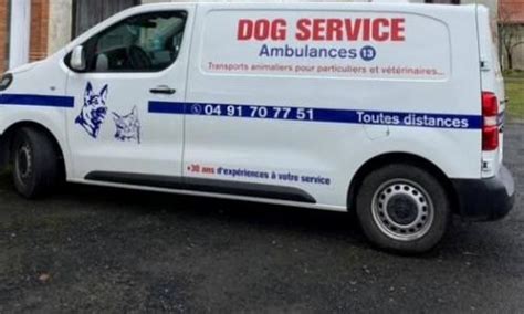Taxi Animalier Transport Danimaux Ambulance Marseille