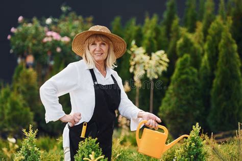 Watering Plants Senior Woman Is In The Garden At Daytime Stock Image