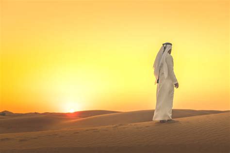 Arabian Desert Stock Photos Pictures And Royalty Free Images Istock