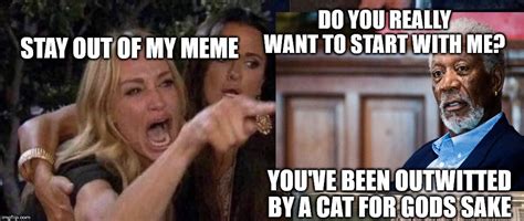 Pin By Michelle Stewart On Smudge The Cat Me Too Meme Memes Do You